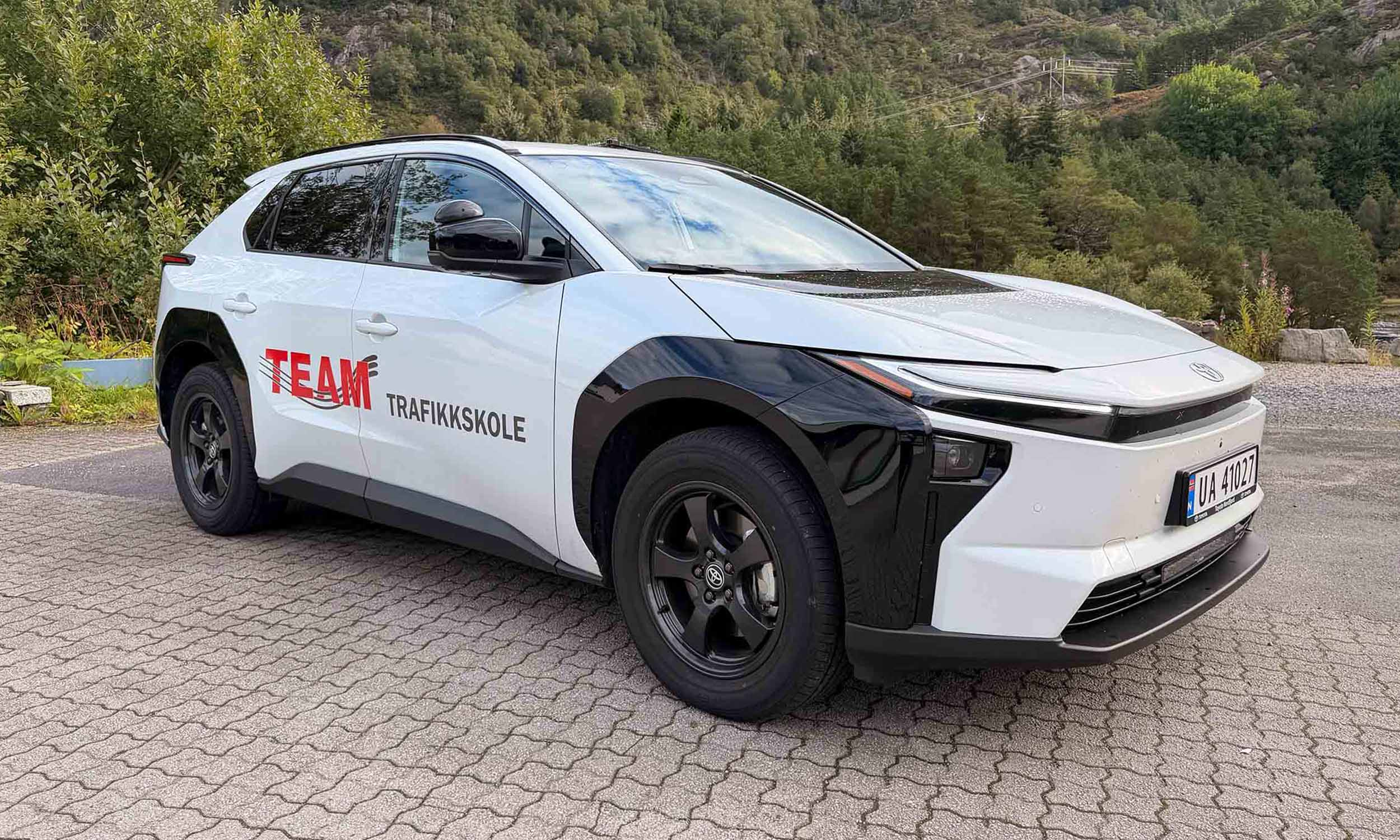 Team Trafikk_elbil